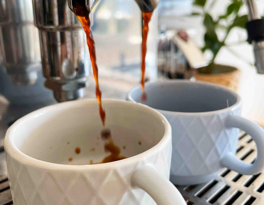 Espressotassen 6er Set Palmanova | Gratis Versand DE & AT