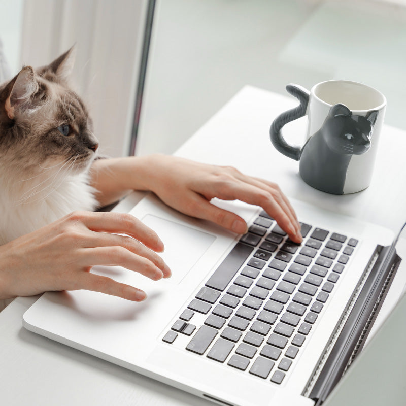 Miamio Parchen Tassen 3D Katzen Keramik, Geschenk fur Paare 